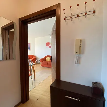 Amadeus 1 - B30 Sunny Daire *